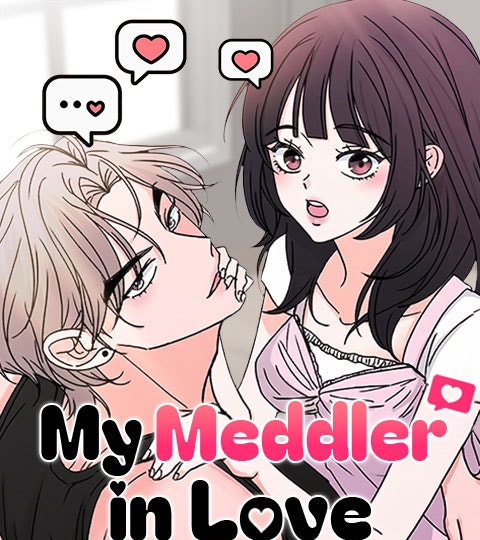 My Meddler in Love